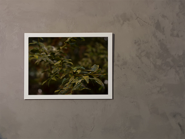 Fátima - Quadro decorativo fotográfico fine art. - Imagem 7