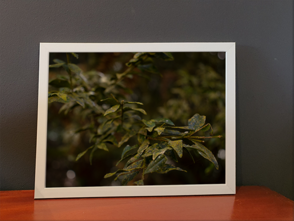 Fátima - Quadro decorativo fotográfico fine art. - Imagem 6