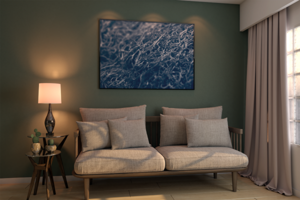 Pequeno Mundo  - Quadro decorativo fotográfico Fine Art - Imagem 15