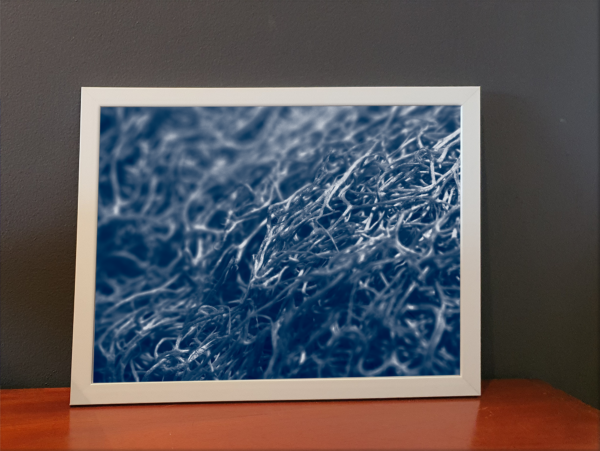 Pequeno Mundo  - Quadro decorativo fotográfico Fine Art - Imagem 6