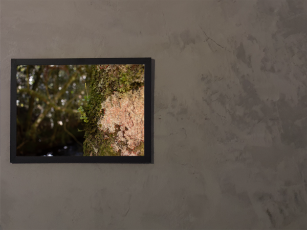 Marcas do Tempo - Quadro decorativo fotográfico Fine Art - Imagem 5