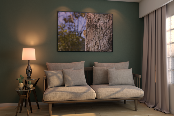 Pequena Vida - Quadro decorativo fotográfico Fine Art - Imagem 13