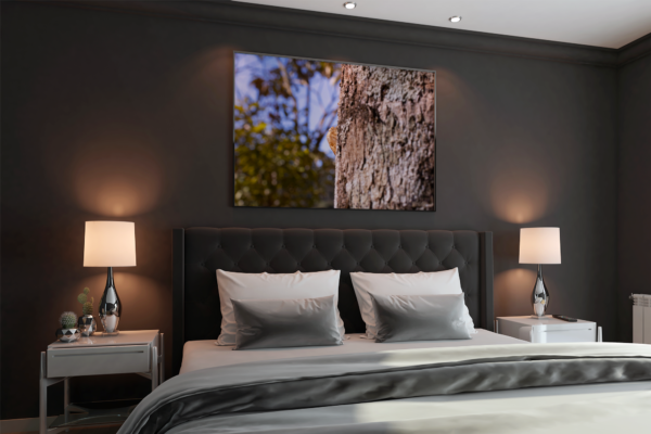 Pequena Vida - Quadro decorativo fotográfico Fine Art - Imagem 10
