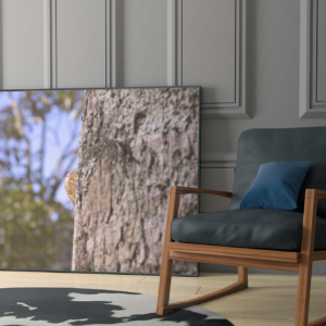Pequena Vida - Quadro decorativo fotográfico Fine Art