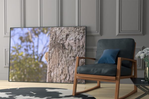 Pequena Vida - Quadro decorativo fotográfico Fine Art