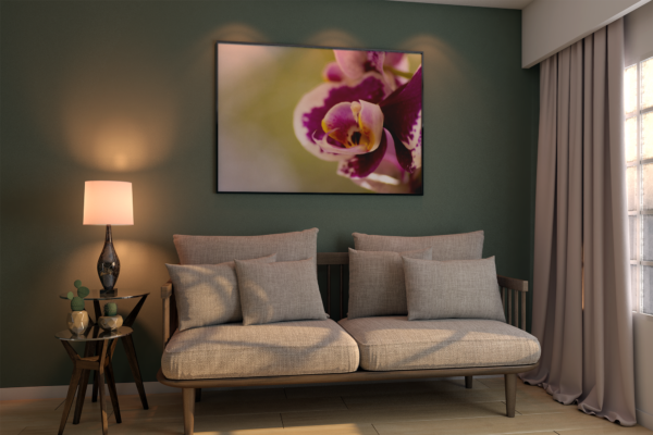Carol  - Quadro decorativo fotográfico Fine Art. - Imagem 5