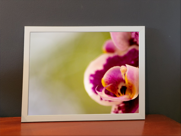 Carol  - Quadro decorativo fotográfico Fine Art. - Imagem 14