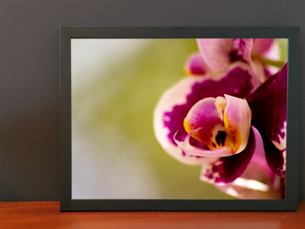 Carol  - Quadro decorativo fotográfico Fine Art. - Imagem 12