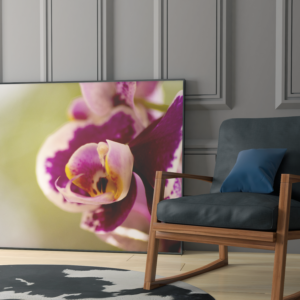 Carol  - Quadro decorativo fotográfico Fine Art.