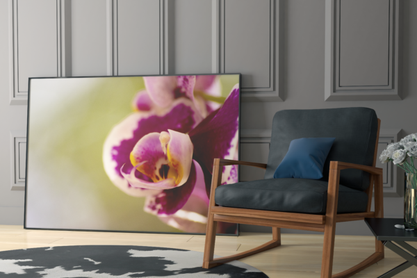 Carol  - Quadro decorativo fotográfico Fine Art.