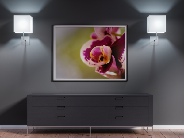 Carol  - Quadro decorativo fotográfico Fine Art. - Imagem 7