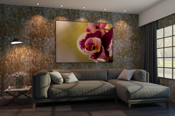 Carol  - Quadro decorativo fotográfico Fine Art. - Imagem 4