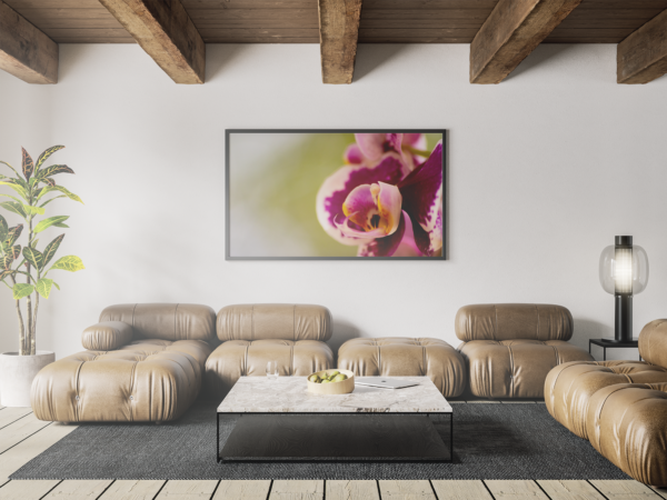 Carol  - Quadro decorativo fotográfico Fine Art. - Imagem 6